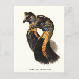 Postal Causas del norte, aves de cosecha