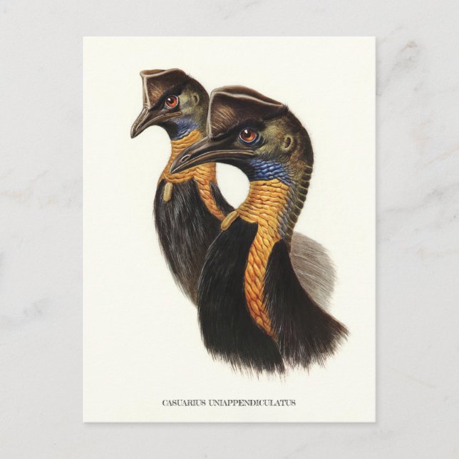 Postal Causas del norte, aves de cosecha (Anverso)