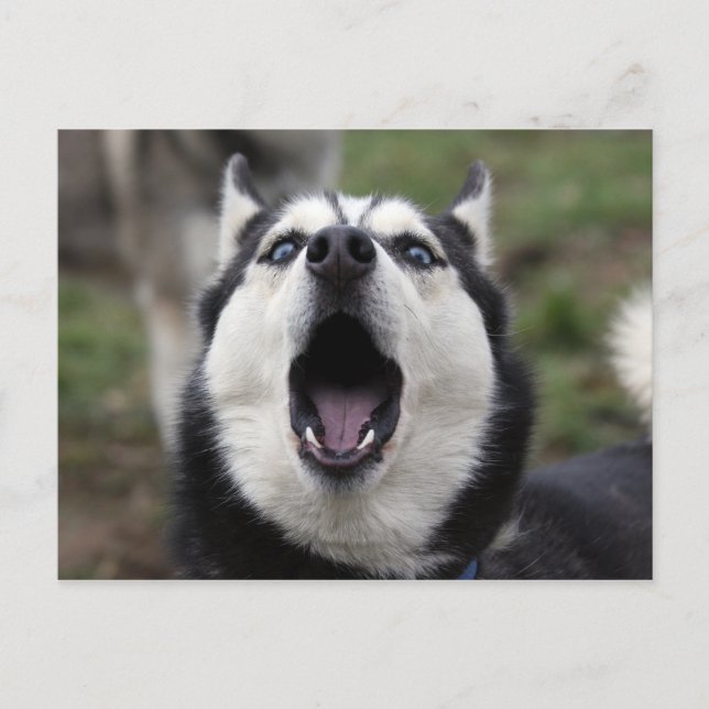 Postal cáustico hablando (Anverso)