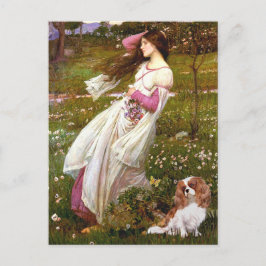 Postal Cavalier 2 (Bl) - Anemones