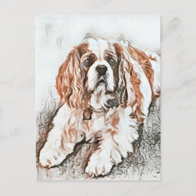 Postal Cavalier Adorable King Charles Spaniel Sketch (Anverso)