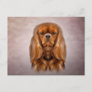 Postal Cavalier de perro dibujante King Charles Spaniel