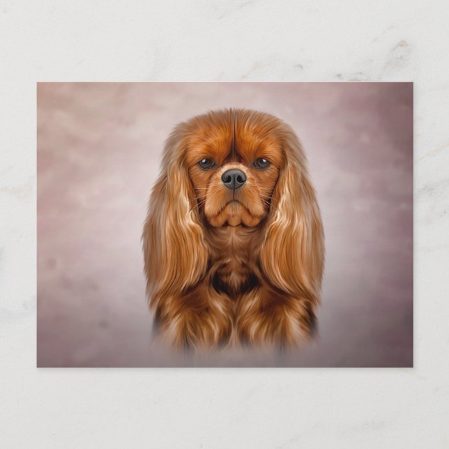 Postal Cavalier de perro dibujante King Charles Spaniel (Anverso)