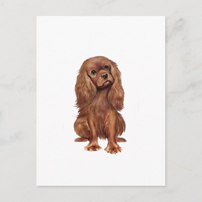 Postal Cavalier King Charles - Rubí (Anverso)