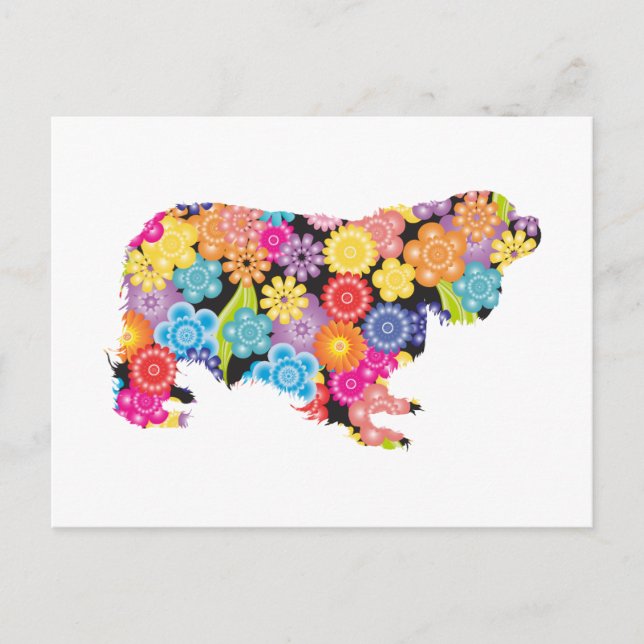 Postal Cavalier King Charles Spaniel (Anverso)
