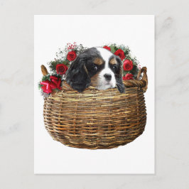 Postal Cavalier King Charles Spaniel