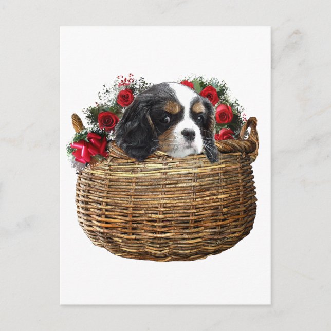 Postal Cavalier King Charles Spaniel (Anverso)