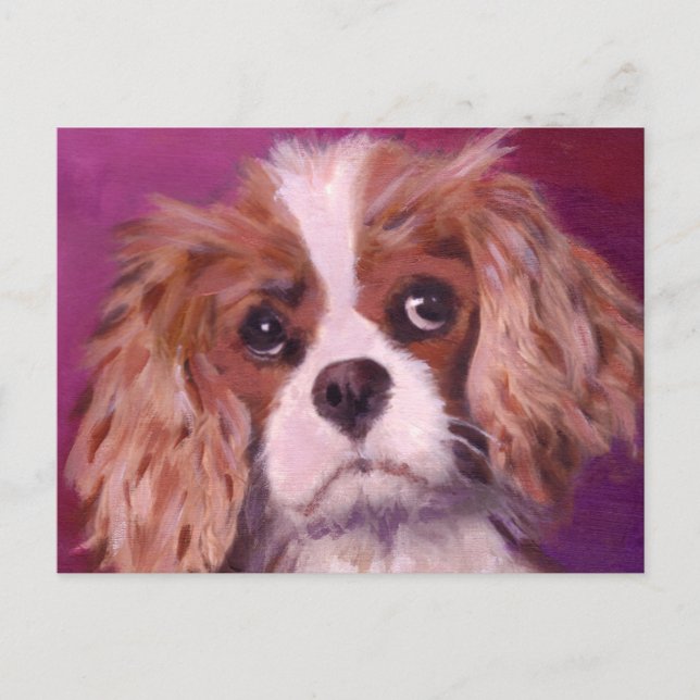 Postal Cavalier King Charles Spaniel (Anverso)