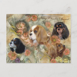 Postal Cavalier King Charles Spaniel