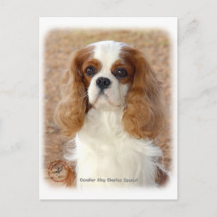 Postal Cavalier King Charles Spaniel 9L005D-08