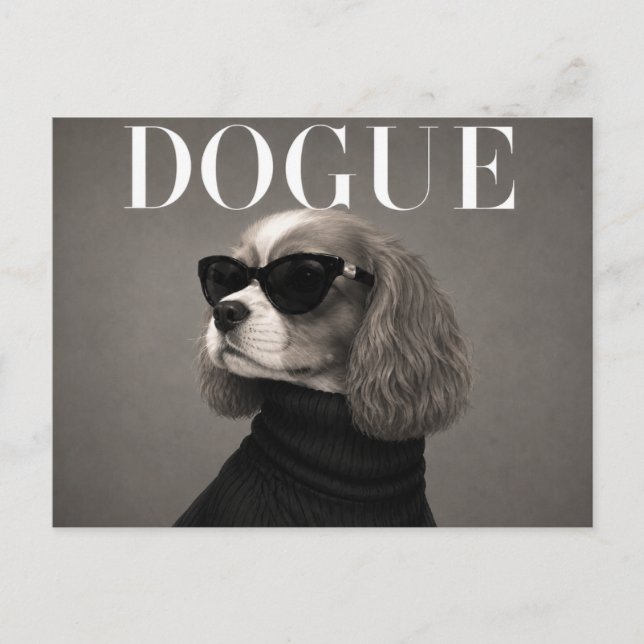 Postal Cavalier King Charles Spaniel de lujo (Anverso)