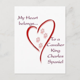 Postal Cavalier King Charles Spaniel Heart Pertenece