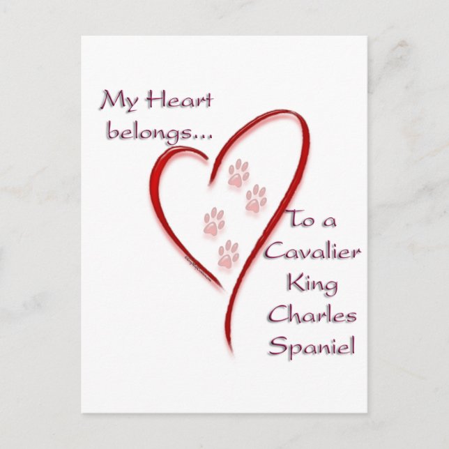 Postal Cavalier King Charles Spaniel Heart Pertenece (Anverso)