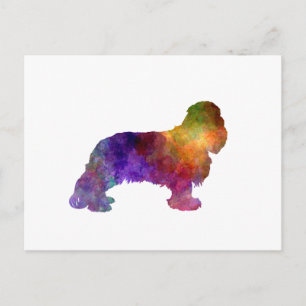Postal Cavalier King Charles Spaniel in watercolor