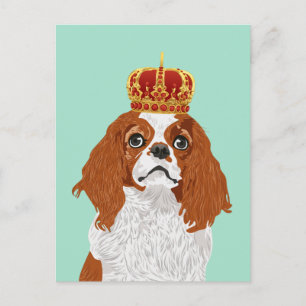 Postal Cavalier King Charles Spaniel para los amantes del