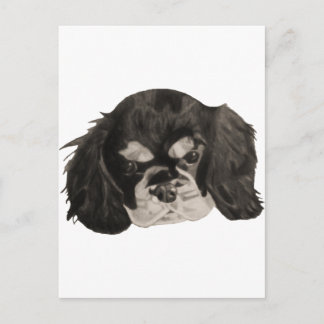 Postal Cavalier King Charles Spaniel Puppy