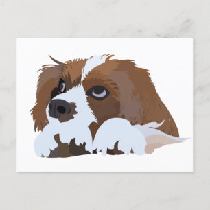Postal Cavalier King Charles Spaniel Puppy