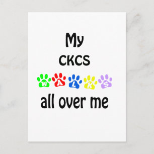 Postal Cavalier King Charles Spaniel Walks Design