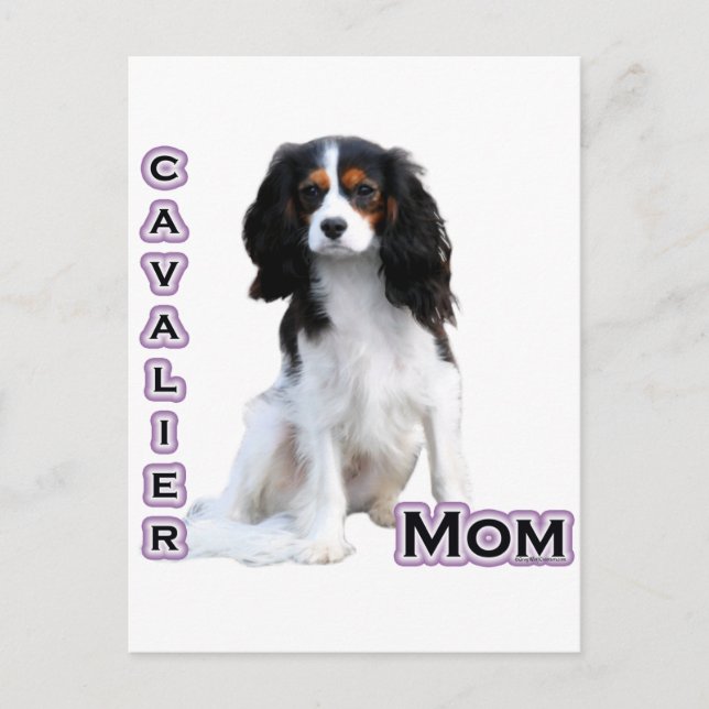 Postal Cavalier Mom 4 (Anverso)