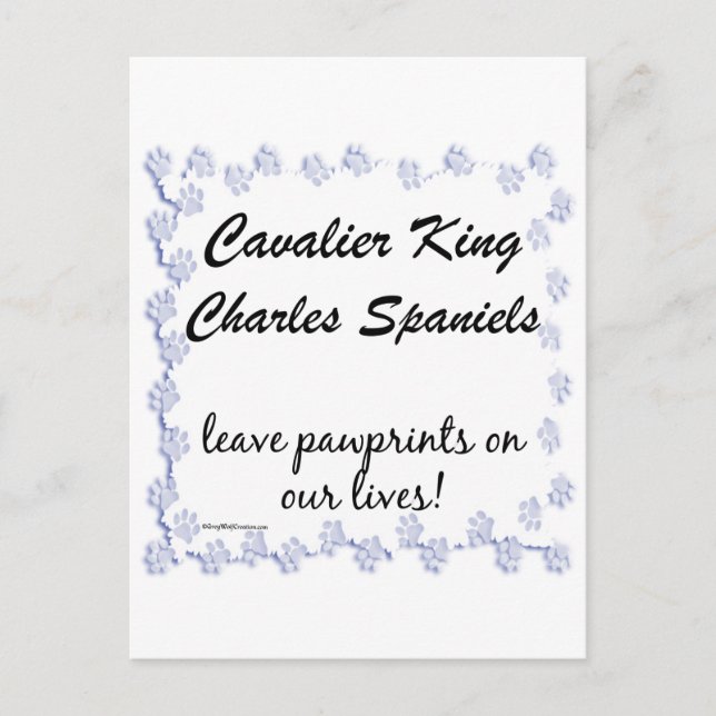 Postal Cavalier Pawprints (Anverso)