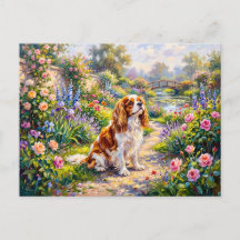 Cavalier Spaniel en jardín de verano junto al esta