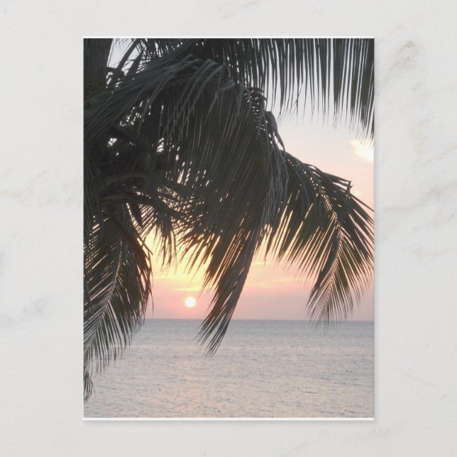 Postal Cave de Médicos para la puesta del sol, Montego Ba (Anverso)