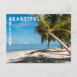 Postal Caye de pájaros riéndose - Belice