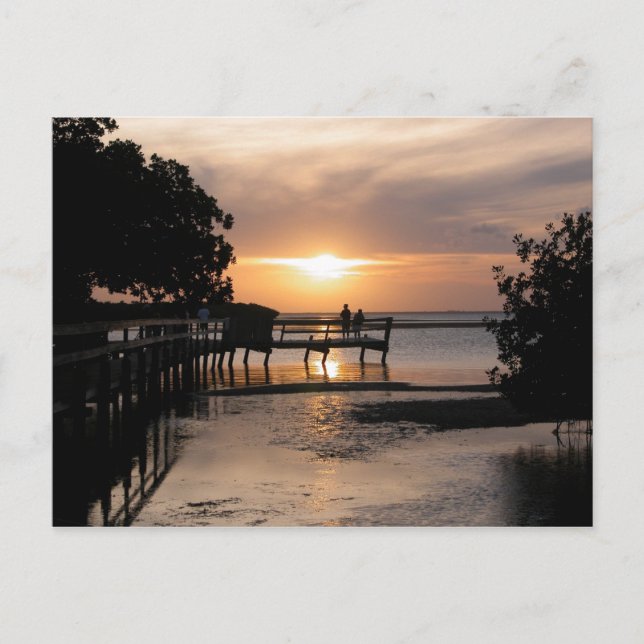 Postal Cayo de sol en el oeste de Florida (Anverso)