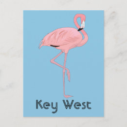 Postal Cayo Hueso Florida Flamenco Rosa