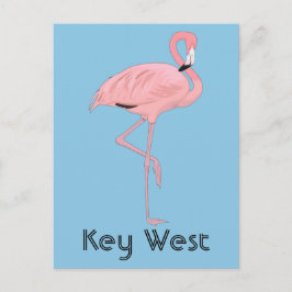 Postal Cayo Hueso Florida Flamenco Rosa