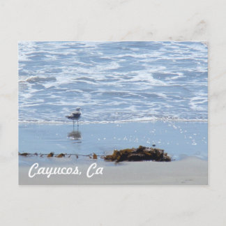 Postal Cayucos Ca