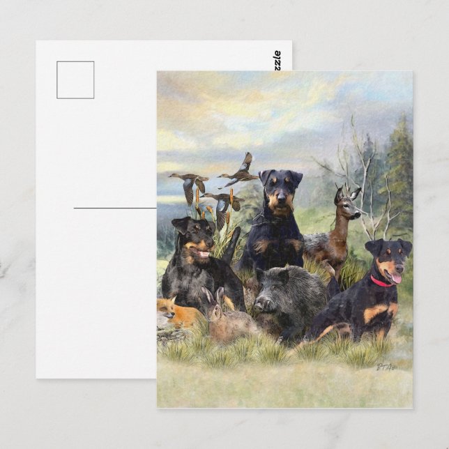 Postal Caza con Jagdterriers , arte (Anverso / Reverso)