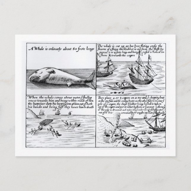Postal Caza de ballenas en Spitzbergen en 1611 (grabado)  (Anverso)