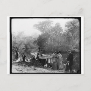 Postal Caza de cocoteros, río Tomoka, Florida 1880-1897