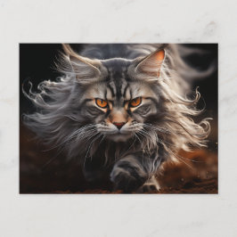 Postal Caza de gato Maine Coon