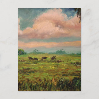 Postal Caza de Hog Salvaje en Florida