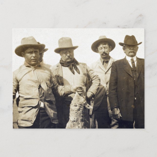 Postal Caza de lobos de Teddy Roosevelt, 1905 (Anverso)