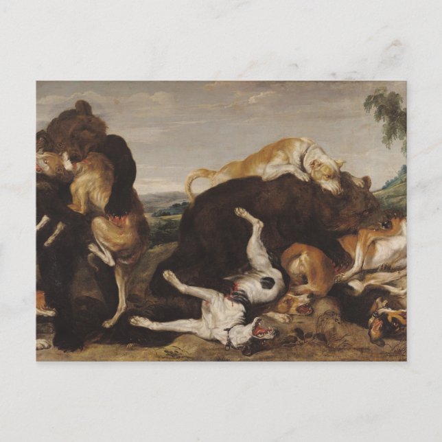 Postal Caza de oso o, batalla entre perros y osos (Anverso)