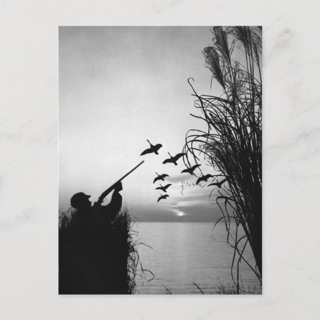 Postal Caza de pato masculino (Anverso)