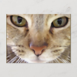 Postal Cazador