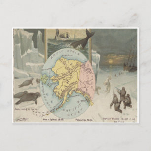 Postal Cazadores de ballenas de Alaska Vintage Focas Osos