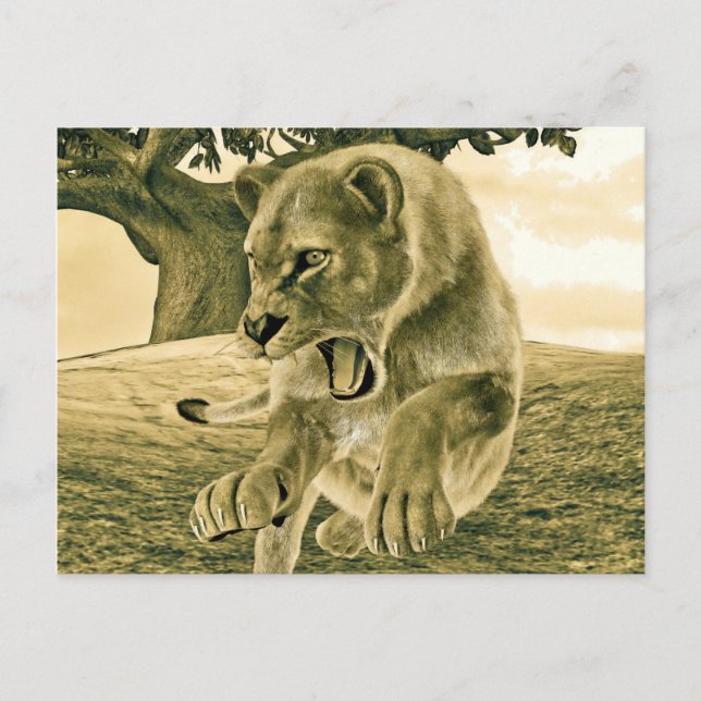 Postal Cazando a la leona (Anverso)