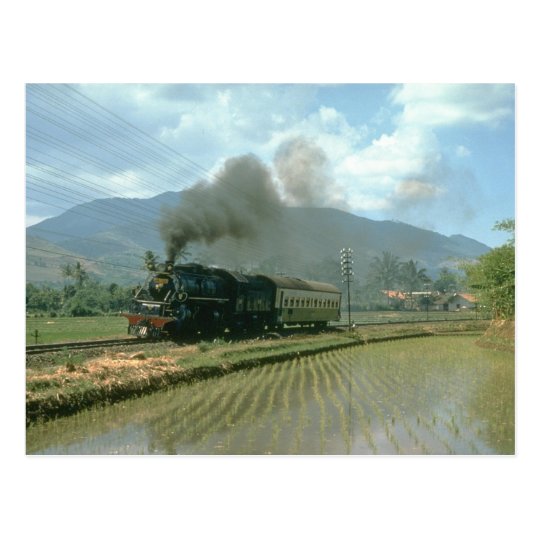 Postal CC5003 pasa campos de arroz con su carga ligera