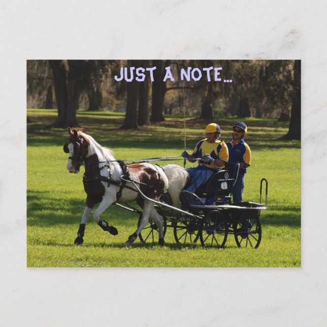 Postal Cde de roble en vivo (Anverso)