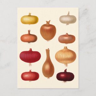 Postal Cebollas