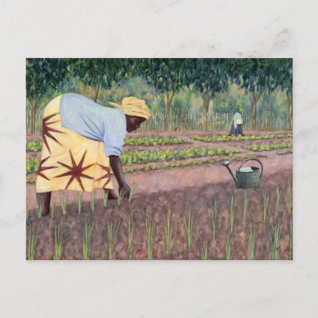 Postal Cebollas de Plantación 2005 (Anverso)