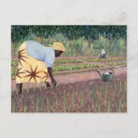 Cebollas de Plantación 2005
