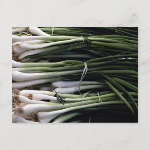 Postal Cebollas verdes