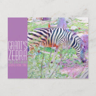 Postal Cebra de Grant [postal]