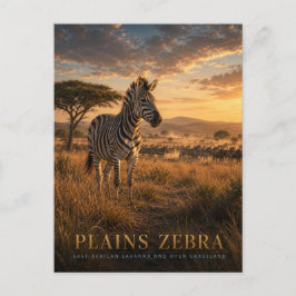 Postal Cebra de llanura Sabana de África Oriental ANIMALE
